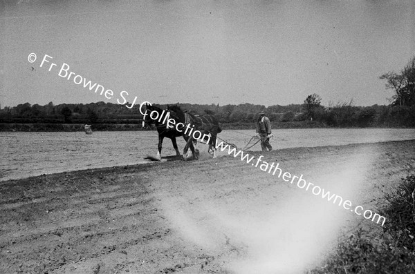 MR SCULLY OF COOLAGH (ON PORTARLINGTON TO EMO ROAD) PLOUGHING